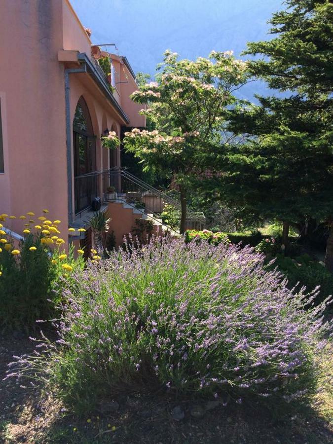 Apartments Bella Vista Makarska Zewnętrze zdjęcie
